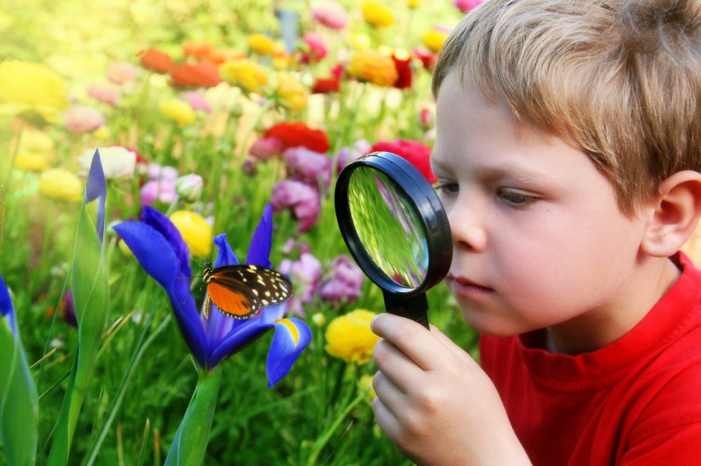 nurture curiosity in children